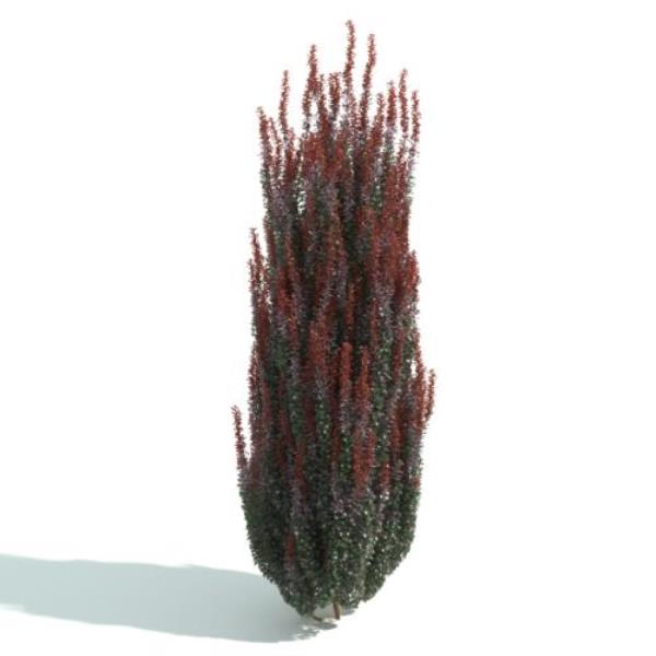 مدل سه بعدی درختچه